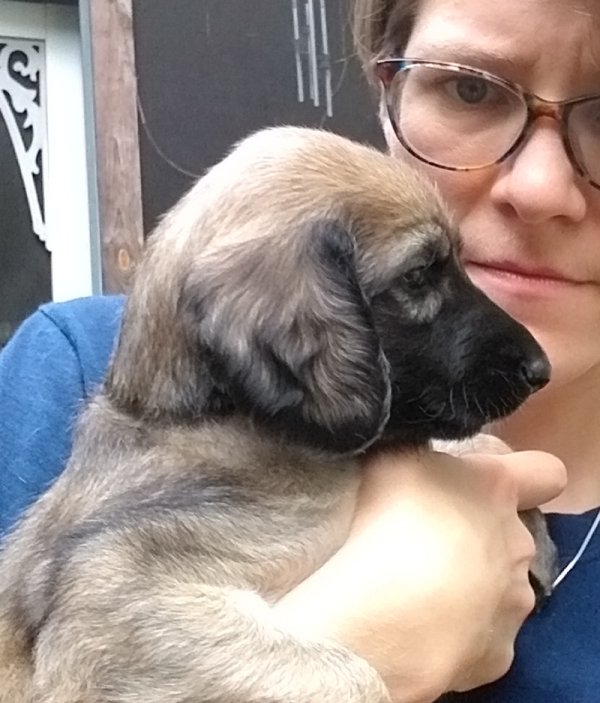 Blue Girl 4 Weeks H.jpg - 2198 K